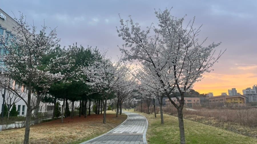 [운전면허]세종현대자동차운전전문학원 선택 및 필기시험 응시 후기