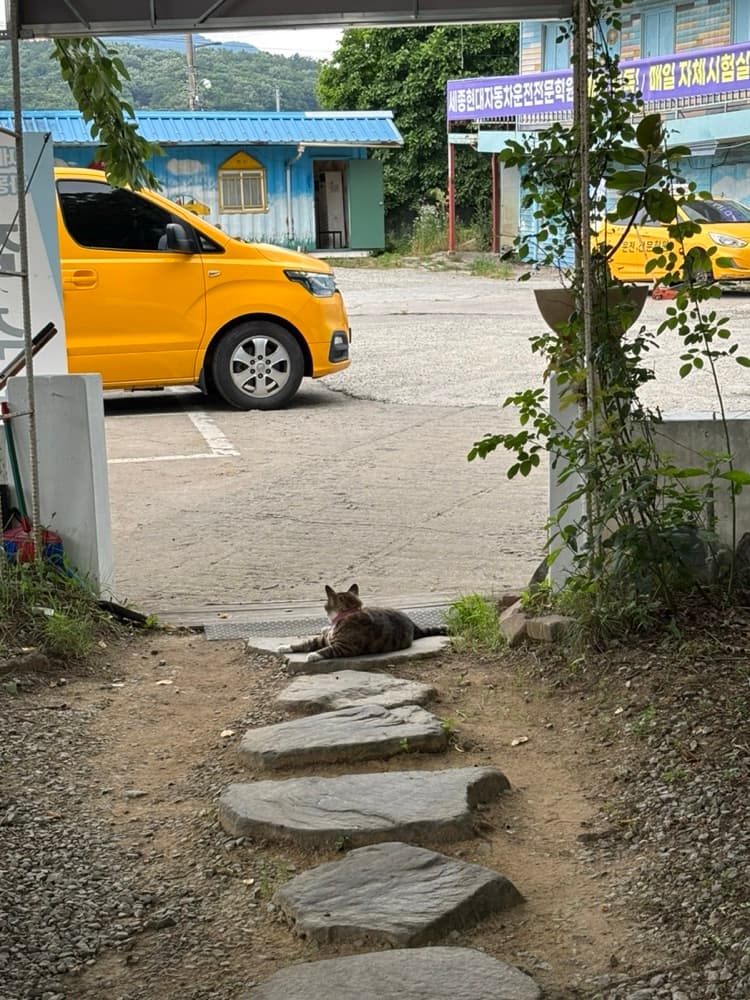 대전 세종 운전면허 학원 내돈내산 후기 | 세종현대자동차운전전문학원