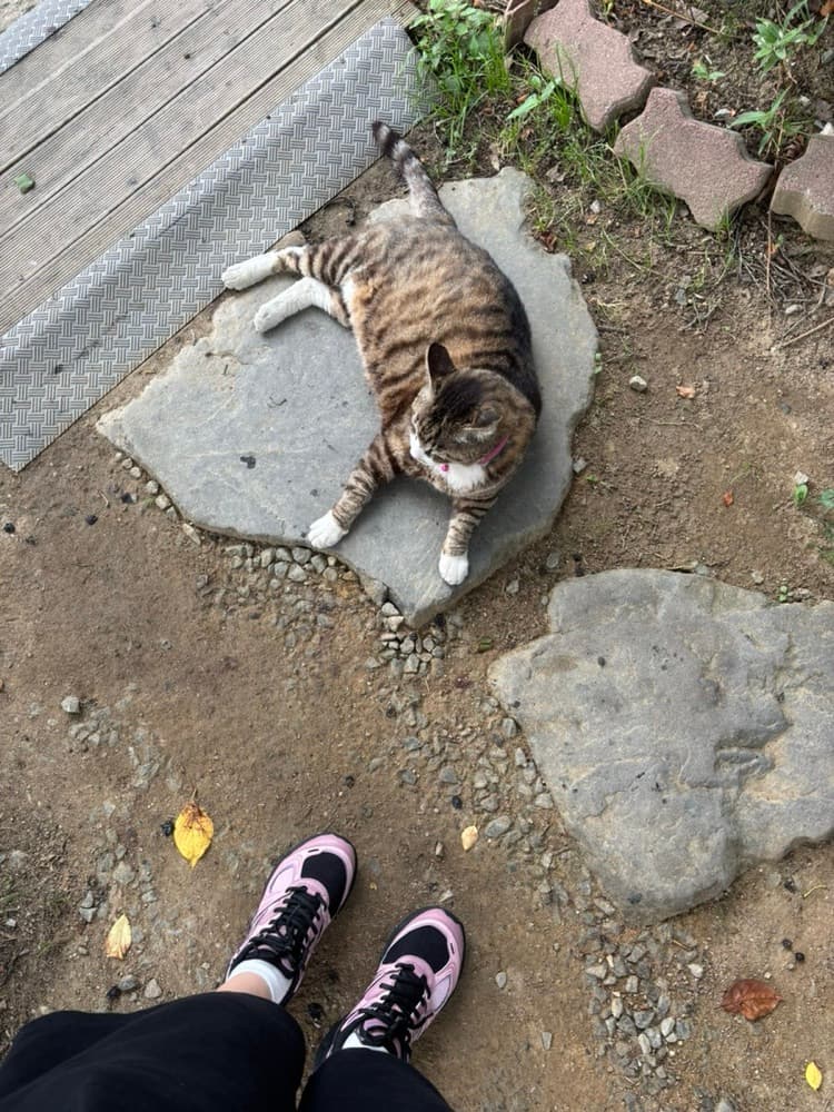 대전 세종 운전면허 학원 내돈내산 후기 | 세종현대자동차운전전문학원